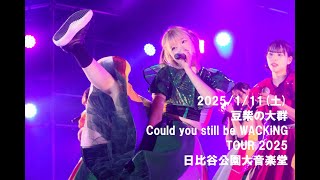 豆柴の大群 2025/1/11 日比谷野音（WACKﾂｱｰ2025）