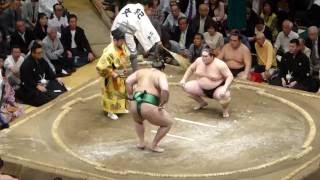 Komusubi Kaisei (1-3) - Ozeki Terunofuji (2-2) , Sumo : Natsubasho '16