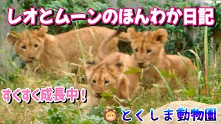 【2022.11.17 とくしま動物園】レオとムーンのほんわか日記💖-Part9-