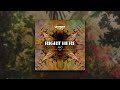 AVÖ - Right Here [Radio Mix]