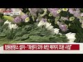 이천 서희청소년문화센터에 합동분향소 설치 ytn