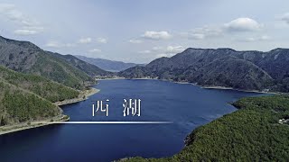 西湖｜空撮｜４K