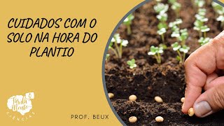 CUIDADOS COM O SOLO NA HORA DO PLANTIO - Ensino Fundamental