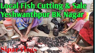 Local Fish sale 🔥🐠\u0026 cutting Bk nagar Yeshwanthpur || Sipar vlogs