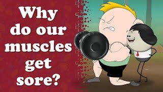 Why do our muscles get sore? | #aumsum #kids #science #education #children