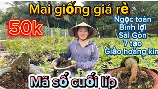 23-2-2025☎️0966200503📲giao lưu mai giống giá rẻ và mã số cuối líp