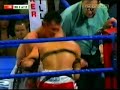 michael brodie vs in jin chi 1