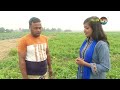 deepto krishi দীপ্ত কৃষি কাজী জৈব সার ব্যবহার করে মুন্সীগঞ্জের টমেটো চাষীর সাফল্য অর্জন 1176 clip