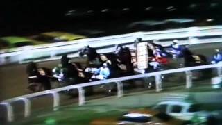 Harness Racing,Harold Park-1980 Interdominion Grand Final (Koala King-B.P.Hancock)