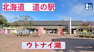 北海道の道の駅「ウトナイ湖」 白鳥が１羽どうしたのかな…