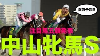 【2019年競馬】GIII中山牝馬S直前予想です