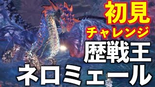 【MHWI】歴戦王ネロミェール 初見 太刀 ソロ つおい【モンスターハンターワールドアイスボーン】