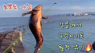 강릉 낚시(구멍치기, 찌낚시, 원투낚시, 통발)