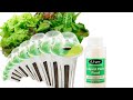 ez gro liquid plant food for aerogarden and other hydroponic growing system hydrohort.net