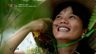 Phim tài liệu : Quê Hương Miền Tây Sông Nước