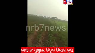 ଚାଷୀଙ୍କ ପ୍ରଶ୍ନରେ ବିଦୂତ ବିଭାଗ ଚୁପ #nrb7news #tpcal #bidutbibhag #farming