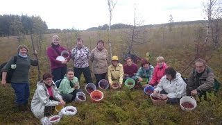 2016 Ajaloolis-kirjanduslik jõhvikaretk