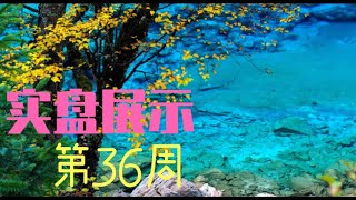 实盘展示第36周；开仓sprt合约，操作gme末日期权