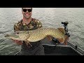 big swimbait fishing custom savage trouts late summer pike fishing