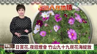 日賞花.夜逛燈會　竹山九十九崁花海綻放｜華視台語新聞 2023.01.18