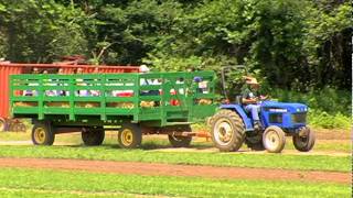 It's My Park: Queens County Farm Museum