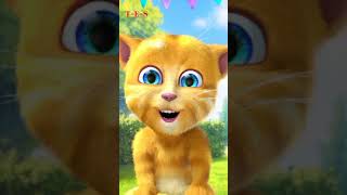 My Tom Ginger 2 / Says One Hundred Sixty Two / Short Video #shorts