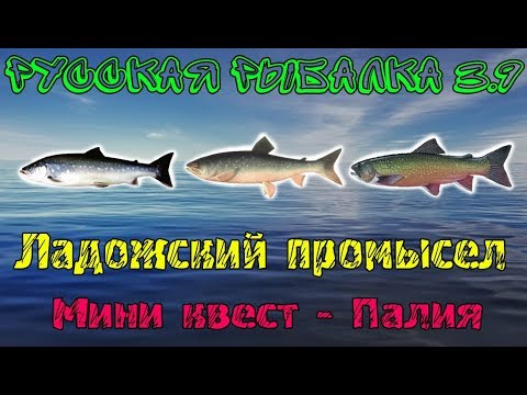 Русская рыбалка 3.9. Ладожский промысел — Палия.