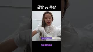 금발 vs 흑발