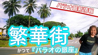 【繁華街パラオ】まだ旅人が戻らないパラオの今、こんなことが起こってる