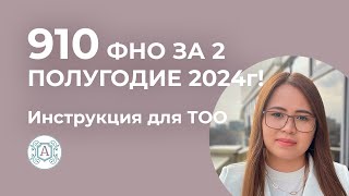 910 ФНО за 2 ПОЛУГОДИЕ 2024г для ТОО! Инструкция!