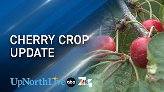 Northern Michigan cherry farmers gear up for fruitful season despite market challenges