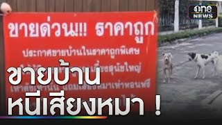 ประกาศขายบ้านราคาถูก เหตุทนเสียงสุนัขเห่าไม่ไหว | ข่าวเที่ยงช่องวัน | สำนักข่าววันนิวส์