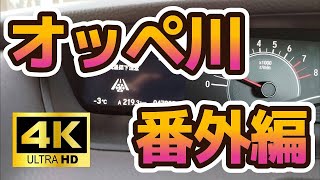 オッペ川・番外編＜4K＞他にも、たくさんの野鳥たちが遊んでくれた！