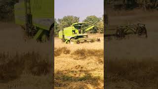 GS Vishal-996 rice harvesting by machine #shorts  #farming #harvesting