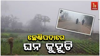 ଅନୁଗୁଳ ଜିଲ୍ଲା ଛେଣ୍ଡିପଦା ବ୍ଳକ ଅଞ୍ଚଳରେ ଘନ କୁହୁଡିର ଆସ୍ତରଣ | Nandighosha TV