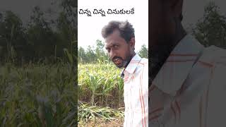 ఇంటికి పెద్ద దిక్కున నువ్వు