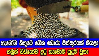 මේක නම් හිතාගන්නවත් බැහැ කියල කියවෙන අපුරු  දේවල් 7ක්.