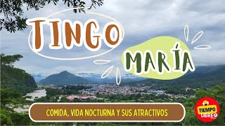 TINGO MARÍA 2025❤️! 🐒Conociendo su fauna🐍🌴comida y  las rutas fijas que en la selva peruana😍 🌴🌴