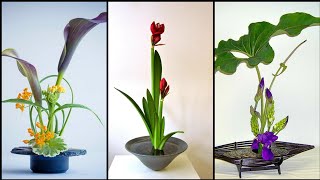 Beautiful Collection of Ikebana japanese floral arrangements || Flower arrangement DIY ideas