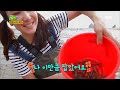 2tv 생생정보 바다를 느끼다 제부도 . 20160919