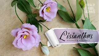 Crepe Paper Lisianthus: Foliage & Assembly