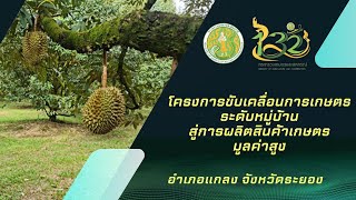 โครงการขับเคลื่อนการเกษตรระดับหมู่บ้าน สู่การผลิตสินค้าเกษตรมูลค่าสูง อำเภอแกลง จังหวัดระยอง ปี 2567