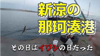 新涼の那珂湊港　その日はイワシの日だった