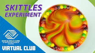 DIY STEM Project For Kids: Skittles Experiment