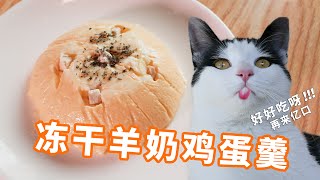 【自制猫饭】冻干羊奶鸡蛋羹，猫咪小嘴根本停不下来！