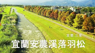 田園.河岸很美!宜蘭安農溪落羽松|宜蘭.三星|島嶼的蒼穹空拍335|4K空拍-Bee Show-2022 TAIWAN