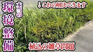 植え込みから生える雑草をキレイにする為の解決策とは？【庭師が解説】