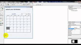 age calculator with calendar in visual basic 6.0