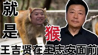 王吉贤在王志安面前就是【猴】