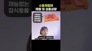 수음체질의 체형 및 성품성향